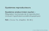 Systèmes reproducteurs Système endocrinien (suite)mapage.clg.qc.ca/JulieLavoie/ne1/jl-NE1-mod3... · • Système de contrôle impliqué = le SE (système endocrinien) Système
