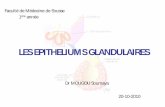 LES EPITHELIUMS GLANDULAIRESs502503c1c2c1db36.jimcontent.com/download/version...- Système endocrinien diffus (dans l’épithélium respiratoire, digestif..) les cellules sécrétrices