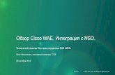 Обзор Cisco WAE. Интеграция с NSO....Обзор Cisco WAE. Интеграция с NSO. ... NSO решения. Стратегия SDN для SP Покрытие всех