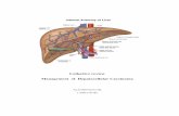 Collective review Management of Hepatocellular Carcinomamedinfo2.psu.ac.th/surgery/Collective review/2553/9... · 2015-08-28 · Management of Hepatocellular Carcinoma พญ.ปองทิพย์