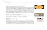 Treponema pallidum (Syphilis) - Amazon S3s3.amazonaws.com/contemporaryartgroup/wp-content/... · Treponema pallidum (Syphilis), 2018 glass, treponema pallidum, Bresser Erudite microscope