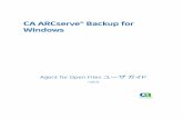 CA ARCserve® Backup for Windows€¦ · CA ARCserve® Backup Enterprise Option for AS/400 CA ARCserve® Backup Enterprise Option for Open VMS CA ARCserve® Backup for Linux Enterprise