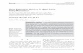 Gene Expression Analysis in Nasal Polyp Using Microarrayjournal.kisep.com/pdf/001/2011/0012011006.pdf · 2011-02-25 · genes in nasal polyp by using DNA microarray and to validate