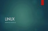 LINUX - sistemas.eel.usp.brsistemas.eel.usp.br/docentes/arquivos/5840003/GSO/Aula13.Conteudo.pdf · Linux mais famosas (Linux Mint, Debian, Ubuntu, openSUSE, Fedora, Mageia, Manjaro,