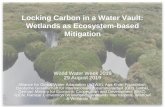 Locking Carbon in a Water Vault: Wetlands as Ecosystem ... · Climate Change, Environment & Infrastructure Department, GIZ. ... Building blocks for improved development outcomes ...