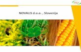 NOVALIS d.o.o. , Slovenija · 2016-01-09 · Visoka tolerantnost na sušo Možni donosi zelene mase do 110 t / ha Visoko toleranten na medsebojno konkurenčnost rastlin v gostem sklopu