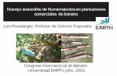 Presentación de PowerPoint€¦ · nematodes as bioindicators of soil and root health Degree: MSc Nationality: Colombia Name: Nancy Chaves Mendez University: CATIE, Costa Rica Research
