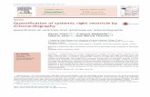 Quantification of systemic right ventricle by echocardiography · 2017-02-26 · of systemic right ventricle by echocardiography ... with dobutamine stress [17]. These data were conﬁrmed