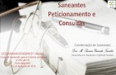 Saneantes Peticionamento e Consultas · 2019-08-15 · Saneantes Peticionamento e Consultas Coordenação de Saneantes Dra. M. Susana Yamada Tanaka COSAN/GHCOS/DIRE3°/ Anvisa Especialista
