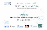 EAU&3E - Festival dell'Acqua · Demand forecasts Micro‐analysis of water consumption factors beyond ... Market Goods Chile / bottled water Wheeling pb Toll or Club Goods Public