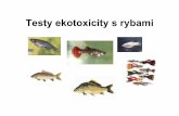 Testy ekotoxicity s rybami - Masaryk University · • Počet ryb -pro každý odběr 4 ryby (min. 5 odběrů během příjmu, 4 odběry během vylučování) • Bioakumulačnífaktor
