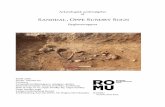 Bygherrerapport - ROMU · 2018-01-08 · Arkæologisk undersøgelse af SANDDAL, OPPE SUNDBY SOGN Bygherrerapport ROM 3306 Stednr. 010310-63 SANDDAL Gravplads-jordfæstegrave, urnegrav,
