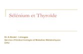 Sélénium et Thyroïde NANTES... · 2017-09-12 · Sélénium et fonction thyroïdienne (1) : le crétinisme myxoedémateux Le crétinisme myxoedémateux, exemple de carence sévère