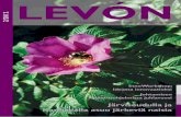 LEVÓNLevón 2/2012 · Ideasta innovaatioksi Tavoitteena laadukkaiden lähipalveluiden turvaaminen Järviseudulla ja Kauhavalla asuu järkeviä naisia Henkilöstöuutisia Vaasa johtamisen
