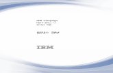 IBM Campaignn v911doc.unica.com/products/campaign/9_1_1/ko_kr/IBM... · Campaign IBM Cognos IBM EMM 5. Campaign v v Campaign v v IBM Campaign v v IBM Campaign IBM Campaign Campaign