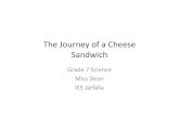 The Journey of a Cheese Sandwich [Read-Only] · The journey of a cheese sandwich through the digestive system. The digestive system is a group of organs in our body that breaks down