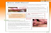 Fleisch IB 9.1 Masse statt Klasse? - OroVerde · 2012-01-09 · Fleisch IB 9.1 Um unseren großen Hunger auf Fleisch zu stillen, müssen pro Tag Massen an Tieren geschlachtet werden.