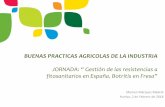 BUENAS PRACTICAS AGRICOLAS DE LA INDUSTRIAfreshuelva.es/wp-content/uploads/2018/02/BUENAS...laboral y el cumplimiento adecuado de la etiqueta cuando se usan Productos Fitosanitarios,