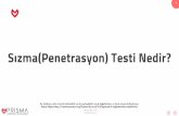 Sızma(Penetrasyon) Testi Nedir? - PRISMA CSI...Sızma(Penetrasyon) Testleri Metodolojileri • OWASP • Web GüvenliğiTestleri • Mobil UygulamaGüvenliğiTestleri • IoTGüvenlikTestleri