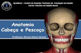 Anatomia Cabeça e Pescoço - BD Clínica Odontológica · Anatomia Cabeça e Pescoço . Sobotta - Atlas de Anatomia Humana - 2 Vols. - 22ª Ed. 2006 ... O Sistema Estomatognático