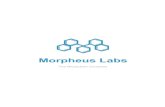 Morpheus Labs - Neironix · 스타트업 기업들이 실패합니다. ... 또는 성숙되기 전에 경험 부족으로 여러제약을 받고 고전을 면치 못했습니다.