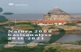 Natura 2000 basisanalyse 2016-2021 - CHNFNatura 2000 basisanalyse . 2016-2021 . Ertholmene Natura 2000-område nr. 189, Habitatområde H210