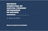 Capital Privado Extranjero en BoliviaCentral de Bolivia (BCB) presenta semestralmente el reporte estadístico sobre el Capital Privado Extranjero en Bolivia. El presente documento