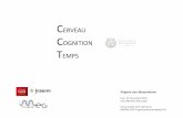 CERVEAU COGNITION TEMPS - Collège de France...Brodmann areas (cytoarchitectonically defined) Brodmann areas (MRI defined) human brain coronal section white matter grey matter White
