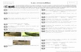 Sciences et Les crocodiles - Freecursa.free.fr/IMG/pdf/Les_crocodiles_larmes_fatales.pdf · 8’ 14’ 16’ 18’ 23’ 23’ 24’ Title: 03a - C'est Pas Sorcier - Les crocodiles,