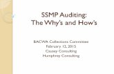 SSMP Auditing: The Why’s and How’s · 2016-02-09 · WDR Audit Requirements (x) SSMP Program Audits - As part of the SSMP, the Enrollee shall conduct periodic internal audits,