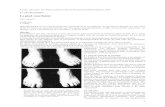 Le pied coordonné - Spiraldynamik...Larsen, Christian: «Le Pied Coordoné»; Revue Romande de Physiothérape, 1999 Le coin du praticien Le pied coordonné Chr. Larsen * Traduction