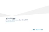 BayernLB Geschäftsbericht 2015 · BayernLB . Geschäftsbericht 2015 1 1 4 2 5 3 6 Verantwortung übernehmen 16 Mitarbeiterinnen und Mitarbeiter 18 Soziales 24 Bildung und Wissenschaft