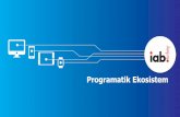 IAB TURKEY - Programatik Ekosistem...Kaynak: ‘Attitudes towards Programmatic Advertising’ 2017 – IAB Europe İnsan kaynağı, marka güvenliği ve reklam dolandırıcılığı