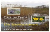 Flora- en fauna-inventarisatie van de Berkendonk...Flora- en fauna-inventarisatie . van de Berkendonk . van 2004 tot en met 2012 . T.J. van Loo . Helmond, 10 april 2013 . afdeling