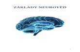 ZÁKLADY NEUROVĚDfiles.pppsycho.webnode.cz/200000300-e2ea8e3e48/ZÁKLADY NEUROVĚD.pdf · -Systema nervosum periphericum = periferní nervová soustava • Mozkomíšní nervy -somatomotorický