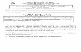 FLORA CHILENA · FICHA N°5: “FLORA Y FAUNA CHILENA” FLORA CHILENA Existen algunas especies de nuestra flora que se encuentran en peligro de extinción, es decir, que podrían