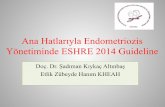 Ana Hatlarıyla Endometriozis Yönetiminde ESHRE 2014 Guideline · Sunum Planı Tarihçe-Neden? Nasıl? Öncesi & Sonrası Metod Anahtar sorular Öneriler . Endometriozis Endometrial