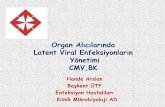 V A L C Y T E (Valgansiklovir) - BUHASDER · 2018-04-11 · CMV-Akut Rejeksiyon Riski 477 böbrek transplantında – CMV infeksiyonu, – CMV hastalığı, Akut Rejeksiyon için