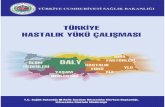 T.C. - AHMET SALTIKahmetsaltik.net/arsiv/2014/09/DALY_turkiye_hastalik_yuku_calismasi... · Kitabın hazırlanma aşamasında yoğun olarak çalışan Müdür Yardımcısı Uzm.Dr.