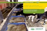 CANA-DE-AÇÚCAR COM UREIA E SULFATO · 2019-08-09 · Sumário Apresentação 5 Introdução 7 Cana-de-açúcar com ureia e sulfato: uso na alimentação de bovinos de leite 8 I