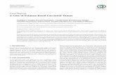 Case Report A Case of Primary Renal Carcinoid …downloads.hindawi.com/journals/criu/2015/736213.pdfCase Report A Case of Primary Renal Carcinoid Tumor ToshikazuTanaka,HayatoYamamoto,AtsushiImai,HatakeyamaShingo,