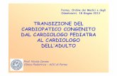 TRANSIZIONE DEL CARDIOPATICO CONGENITO DAL … · CARDIOPATIE CONGENITE incidenza: 7-8/1000 nati vivi nati vivi in Italia: 550000/anno (media 2000-2010) nuovi cardiopatici congeniti: