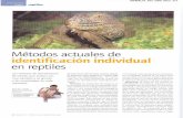 Metodos actuales de identificación en reptiles...ANIMA-IA. Año 2008. Núm. 211 reptiles Métodos actuales de identificación individual en reptiles no es de por Vida, puesto que