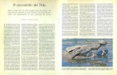 Il coccodrillo del Nilo - Katawebdownload.kataweb.it/mediaweb/pdf/espresso/scienze/1976... · 2011-09-16 · Il coccodrillo del Nilo Questo rettile, che vive nella maggior parte dei