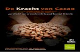 De Kracht van Cacao - maken.wikiwijs.nl › userfiles › f93acdb... · Oxfam-Wereldwinkels De kracht van cacao Britt Hamblok en Loes Heylen De kwetsbare rijkdom van de Dominicanen