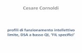 Cesare Cornoldi - labda-spinoff.it · le premesse per un percorso di formazione professionale Consiglio orientativo e Prognosi: ... 2f autismo ad alto funzionamento ... La preghiamo,