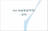 Fist Aid(응급처치 코어 - WordPress.com · 2017-01-03 · 척추(spain), 둔부(hip), 골반(pelvis), 대퇴부(proximallower limb), 복부(abdominal) 등 동체(복부와 허리)와