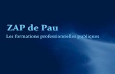 ZAP de Pau - Académie de Bordeauxwebetab.ac-bordeaux.fr/college-ernest-gabard/file... · option: véhicules particuliers • vendeur magasinier en pieces de rechange & equipements