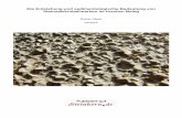 Die Entstehung und sedimentologische Bedeutung von ...exkursionen.steinkern.de/ablage/Steinsalzkristallmarken.pdf · Die Beschränkung auf schluffige und sandige Sedimente. Kantenlängen,