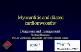 Myocarditis and dilated cardiomyopathy · Gene mutations in idiopathic dilated cardiomyopathy GENES Lamin A/C δ-sarcoglycan Dystrophin Desmin Vinculin Titin Troponin-T α-tropomyosin
